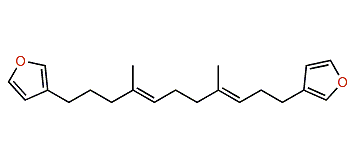 Anhydrofurospongin 1